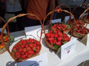 33432199_1950301988335522_4972690178708602880_n