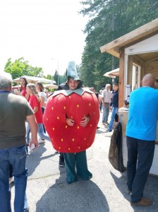 33540729_1950302341668820_3859111296087621632_n