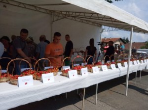 33583372_1950301961668858_2626023084439633920_n