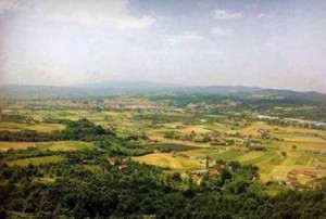 30127821_1486043814857025_6352866434535653376_n