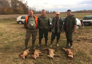 Odstreljene-lisice-u-Karajzovcim-afoto-Milan-Pilipovic