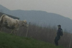 20190404112244_531489