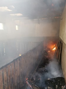 87076750_267449650903084_506138595636019200_o